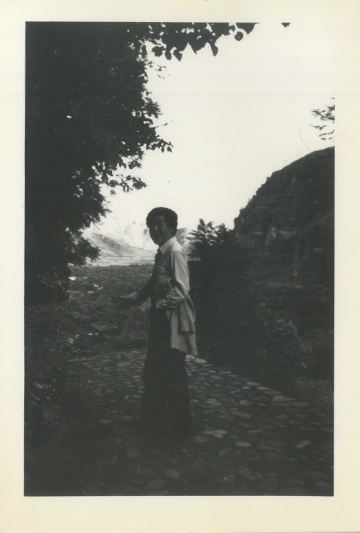 Arakawa walking on stone path near Mayan ruins